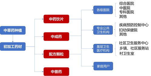 驻马店擘画“中国药谷”蓝图 原料药超级工厂引领产业新未来